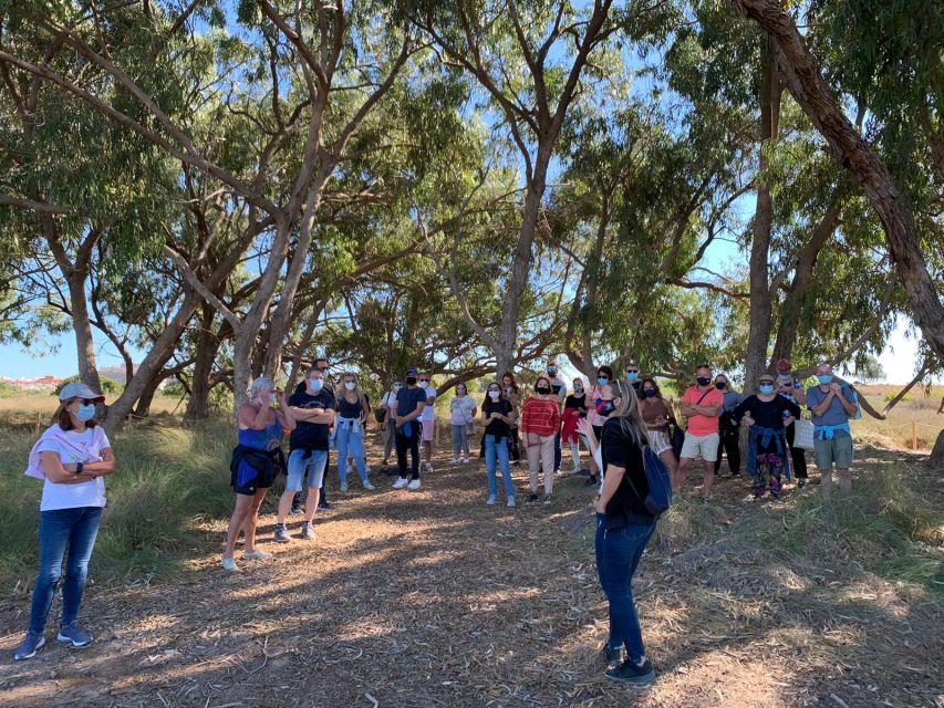 Torrevieja: Local Wine and Food Tasting Tour in La Mata Park - How the summer version changes the experience