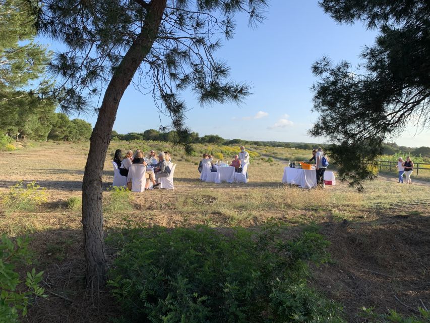 Torrevieja: Local Wine and Food Tasting Tour in La Mata Park - Accessibility, meeting details, and what to bring