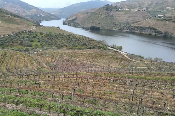 Tour- Douro Wine Region- The Douro Wine Route - Pinhão and the 45-minute river cruise