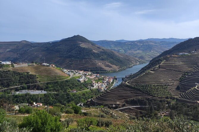 Tour- Douro Wine Region- The Douro Wine Route - Lunch in a 1735 house near Sabrosa