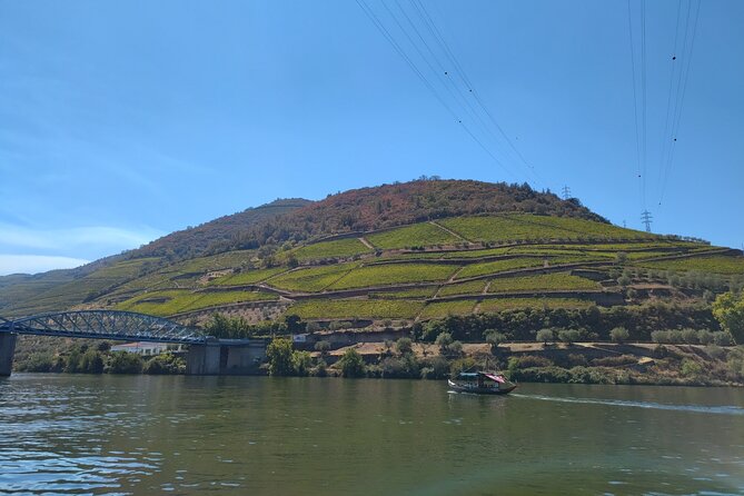 Tour- Douro Wine Region- The Douro Wine Route - What the wine focus really means