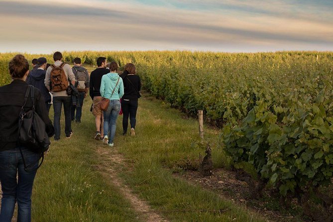 Tour of a Vineyard, Winery & Cellar with Wine Tasting in Vouvray, Loire Valley - Why Myriam makes a difference
