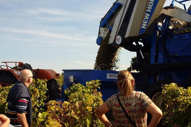 Tour of a Vineyard, Winery & Cellar with Wine Tasting in Vouvray, Loire Valley - Is $65.17 good value for three hours?