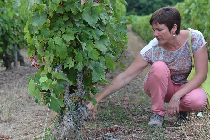 Tour of a Vineyard, Winery & Cellar with Wine Tasting in Vouvray, Loire Valley - Getting to Chançay from Tours and Amboise