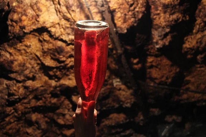 Tour of a Vineyard, Winery & Cellar with Wine Tasting in Vouvray, Loire Valley - Who should book this vineyard visit?