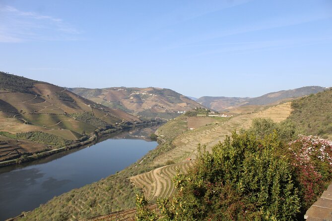 Tour the Douro wine region, and discover the fantastic landscape - Is $255 a fair price?