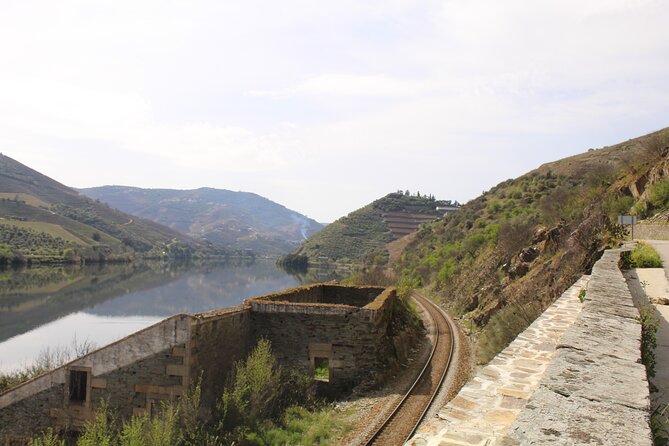 Tour the Douro wine region, and discover the fantastic landscape - Who will enjoy this tour most