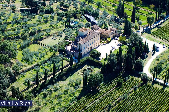 Tour through the vineyards and wine and olive oil tasting in Tuscany - A Tuscan estate visit near Arezzo