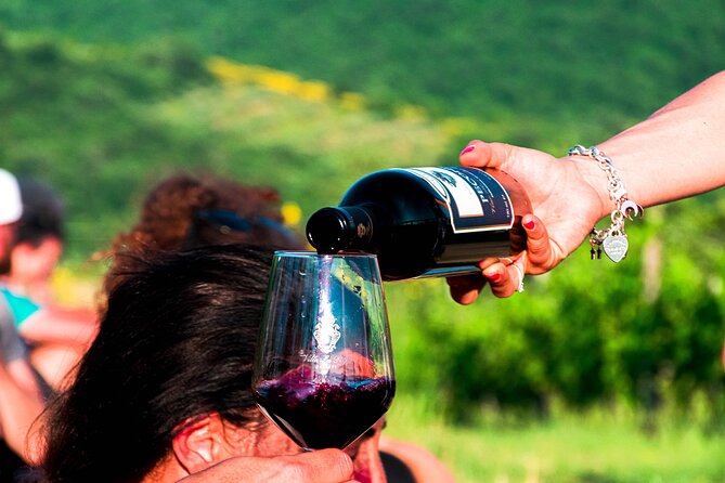 Tour through the vineyards and wine and olive oil tasting in Tuscany - Walking through the winery and vineyards