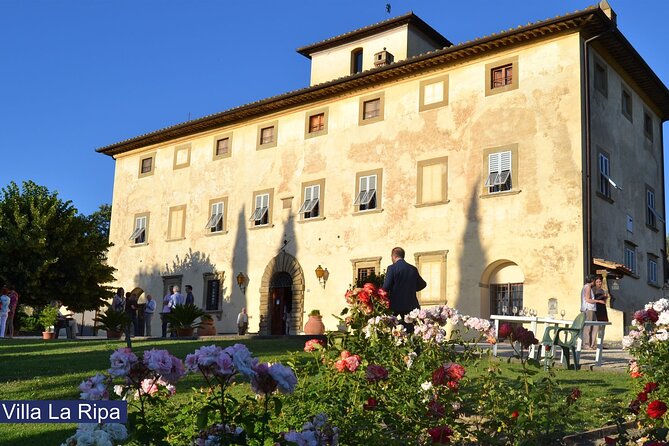 Tour through the vineyards and wine and olive oil tasting in Tuscany - Why the olive oil matters here