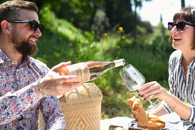 Tour through the vineyards and wine and olive oil tasting in Tuscany - Where the experience could improve