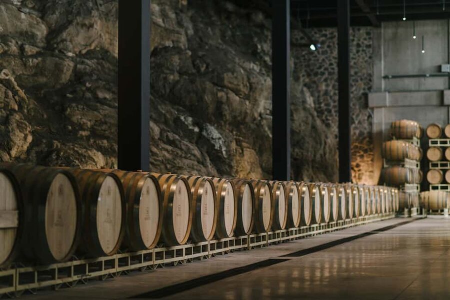 Tour & Wine Tasting San Miguel Vineyard / San Miguel Experience - Inside the underground cellar