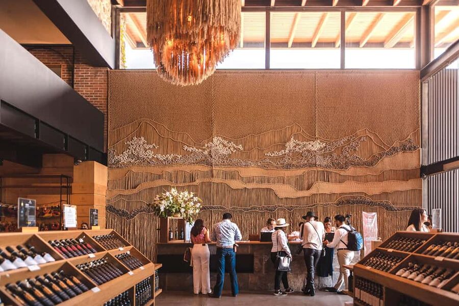 Tour & Wine Tasting San Miguel Vineyard / San Miguel Experience - Five wines in the panoramic room