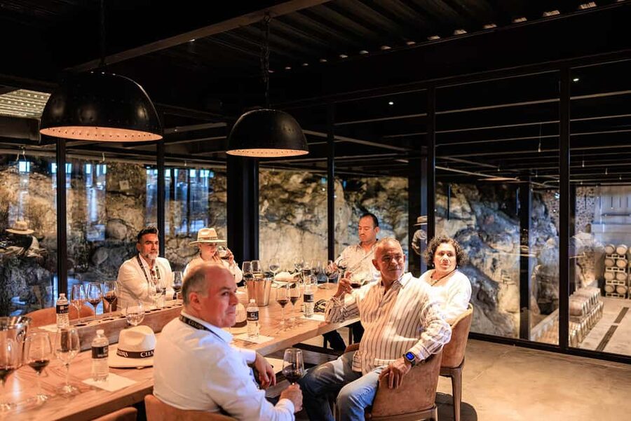 Tour & Wine Tasting San Miguel Vineyard / San Miguel Experience - Is $84 a fair price?