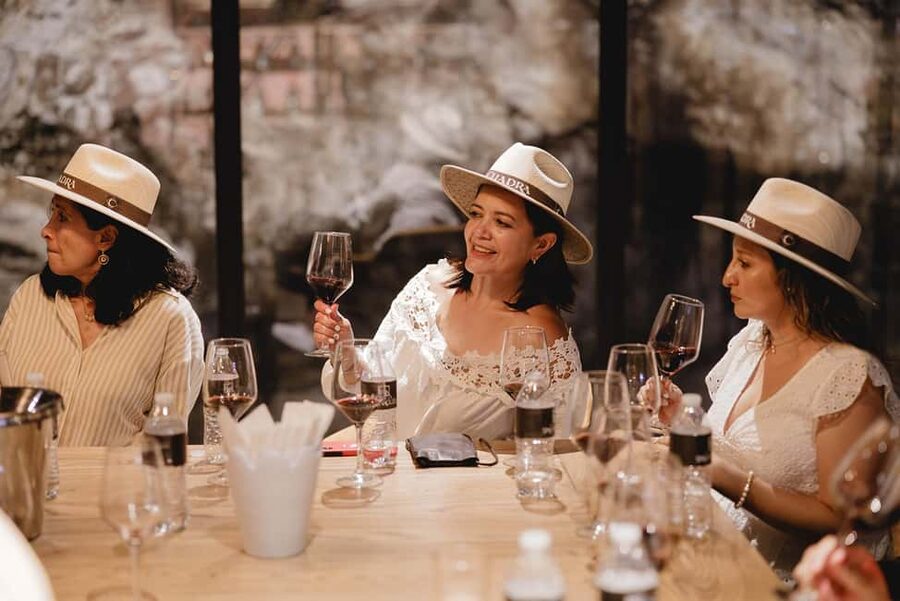 Tour & Wine Tasting San Miguel Vineyard / San Miguel Experience - Timing, flexibility, and planning