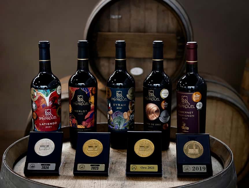 Tour & Wine Tasting San Miguel Vineyard / San Miguel Experience - Starting among the grapevines