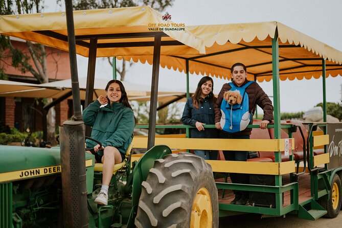 Tractor Pull Around Vineyards and Wine Tasting Tour - Is $59.47 good value?