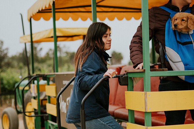 Tractor Pull Around Vineyards and Wine Tasting Tour - Who will enjoy this short wine-country outing?
