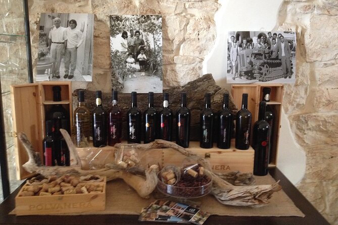 Trani: Wine tasting & Light Lunch in a Vineyard - From Bari to Villa Schinosa near Trani