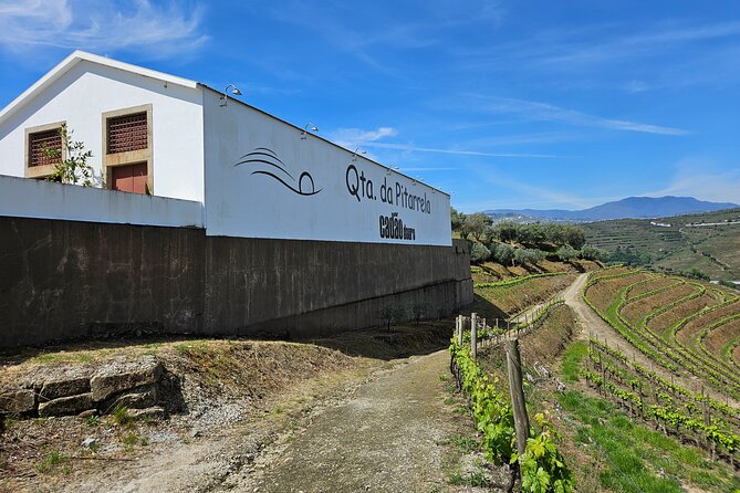 Transfer- Porto to Douro Wine Region (or reverse) - The people behind the wheel