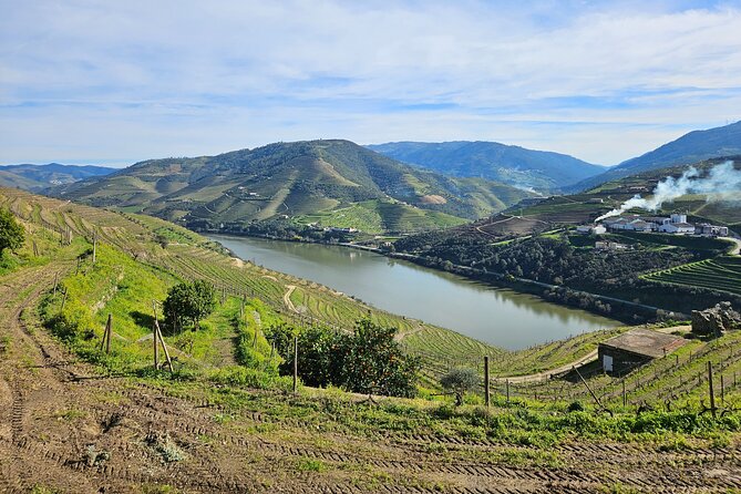 Transfer- Porto to Douro Wine Region (or reverse) - Comfort, privacy, and group value
