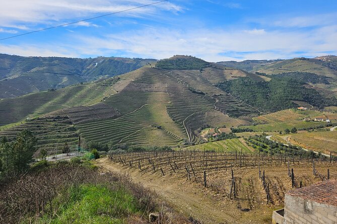 Transfer- Porto to Douro Wine Region (or reverse) - Airport experience and lessons for Porto pickups