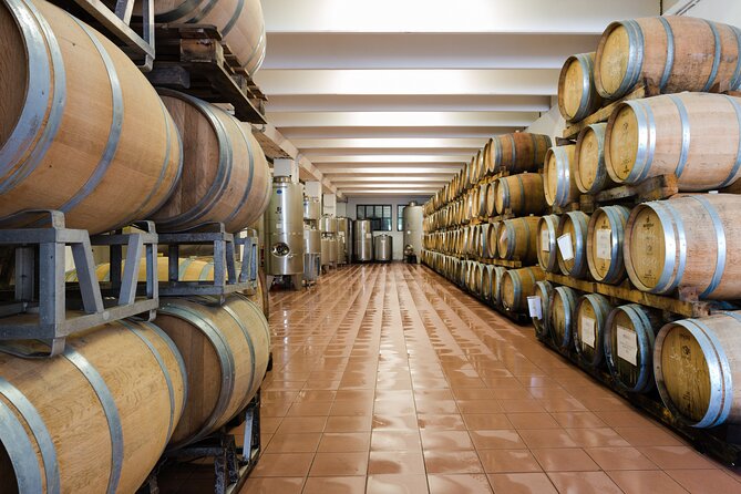 Trentino Wine Journey: Organic Vineyards & Local Delights - A family winery in the Valle dei Laghi