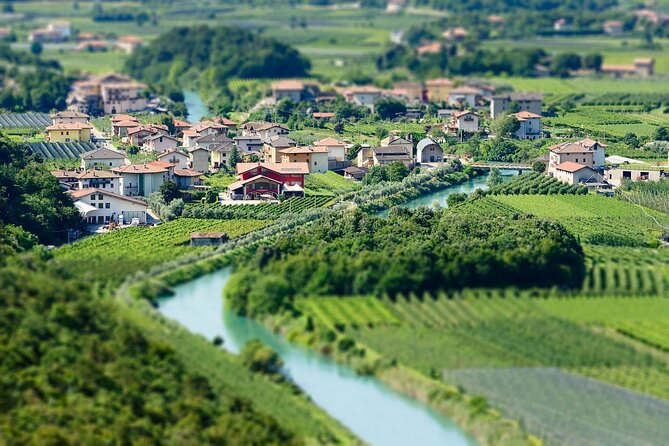 Trentino Wine Journey: Organic Vineyards & Local Delights - The value of $43.38 per person