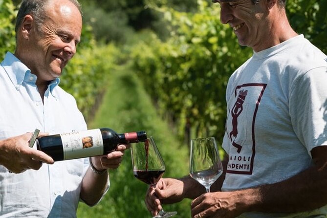 Trentino Wine Journey: Organic Vineyards & Local Delights - The setting between the Dolomites and Lake Garda