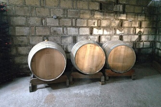 Trentino Wine Journey: Organic Vineyards & Local Delights - Who should book this experience