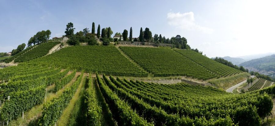 Turin: Private Barolo Wine Region Day Trip with Lunch - Barbaresco adds castles, villages, and wide views