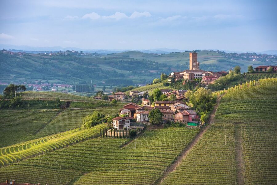 Turin: Private Barolo Wine Region Day Trip with Lunch - What the private format is really worth