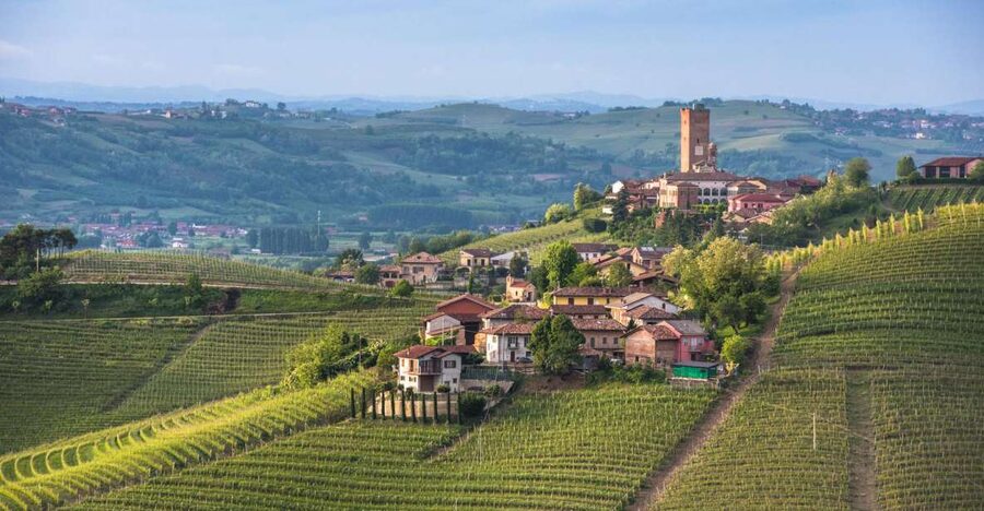 Turin: Private Barolo Wine Region Day Trip with Lunch - Alba opens the door to Barolo wine