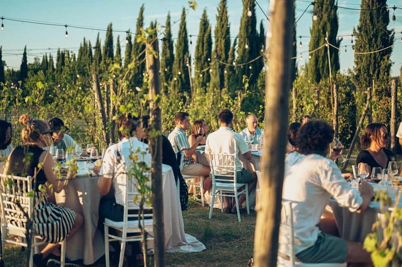Tuscan Vineyard Dinner with Wine Tasting - A Tuscan dinner with the vineyard as your dining room