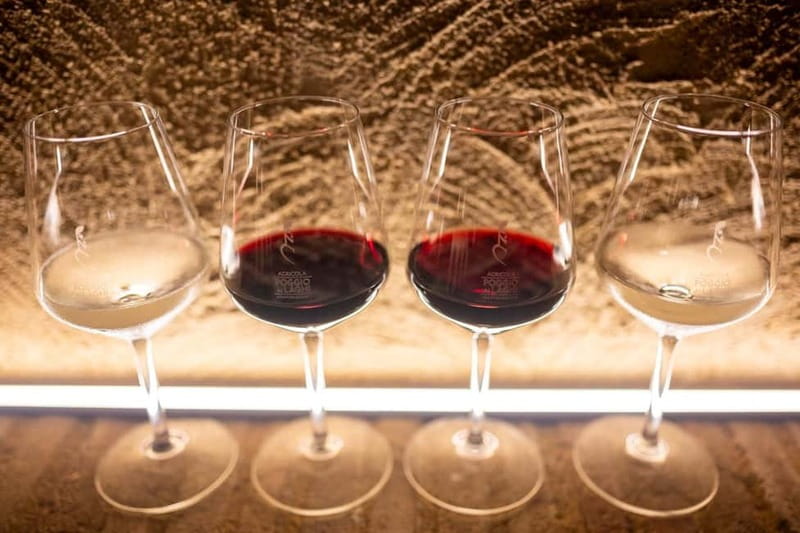 Tuscan Vineyard Dinner with Wine Tasting - The barbecue is the main course