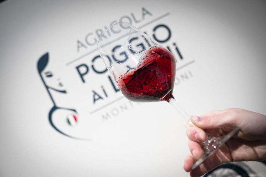 Tuscan Vineyard Dinner with Wine Tasting - Four red wines explain the Tuscan side of the flight