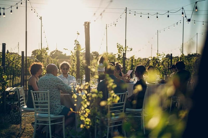 Tuscan Vineyard Dinner with Wine Tasting - What happens during the two-hour evening