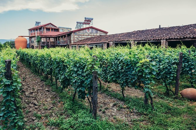 Two Days in Gorgeous Wine Region with Full board Meals and Tastings From Tbilisi - Gombori Pass and lunch at Kvareli Lake Resort