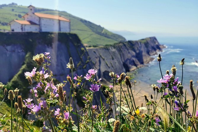 TXAKOLI vineyards HIKE, ZUMAIA and GETARIA - Private Outdoor & Gastronomic Tour - A small winery and the character of Txakoli