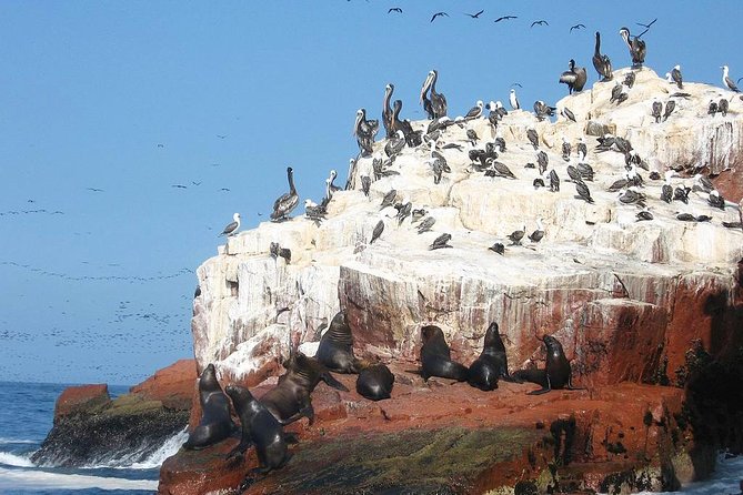 Ultimate Comfort: Lima to Huacachina, Ballestas and Vineyard - Guides, comfort, and the value of a small group
