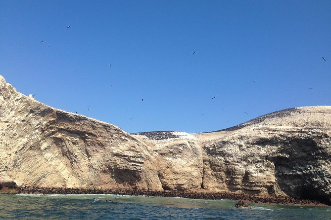 Ultimate Comfort: Lima to Huacachina, Ballestas and Vineyard - What to bring and how to prepare