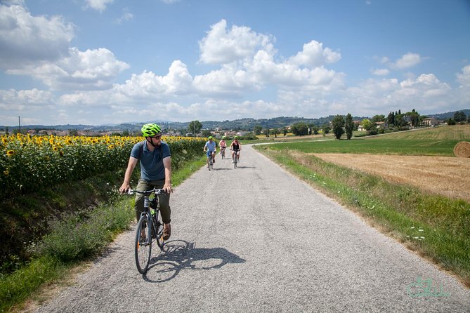 Umbria E-Bike & Wine Tour through Vineyards and Olive Groves - Why this Umbria bike tour works so well
