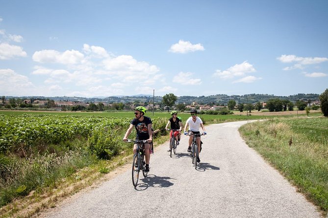 Umbria E-Bike & Wine Tour through Vineyards and Olive Groves - Cantina La Fonte is the day’s main reward