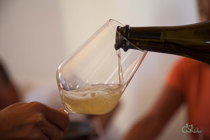 Umbria E-Bike & Wine Tour through Vineyards and Olive Groves - Who should choose this ride