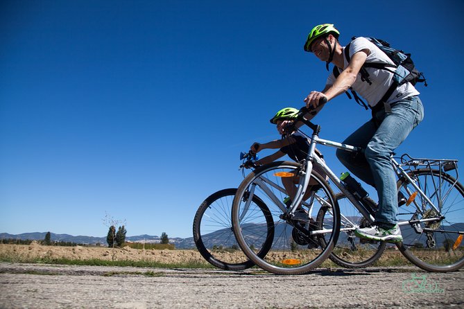 Umbria E-Bike & Wine Tour through Vineyards and Olive Groves - Should you book the Umbria E-Bike and Wine Tour?