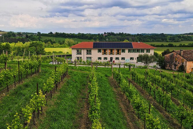 Unconventional Prosecco Tasting with Stunning View on Vineyards - Is $46.81 a fair price?