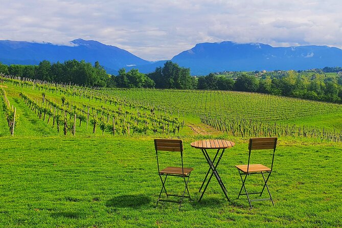 Unconventional Prosecco Tasting with Stunning View on Vineyards - Timing, booking, and cancellation