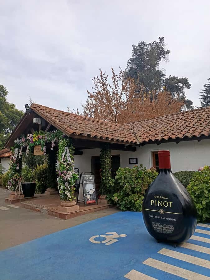 UNDURRAGA VINEYARD - What the 90-minute tour feels like