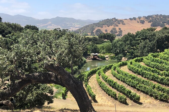 Unique Santa Barbara Wine Country Private Wine Tours and Tastings - Your five-hour route through Santa Ynez Valley