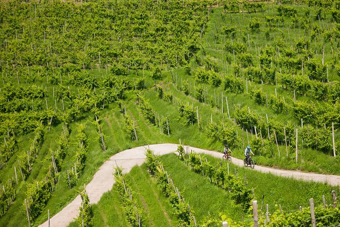 Valdobbiadene e-bike tour amongst vineyards UNESCO Prosecco Hills - Starting at RideAlone Cornuda